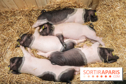 Salon de l'agriculture 2023