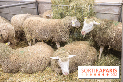 Salon de l'agriculture 2023