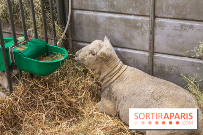 Salon de l'agriculture 2023