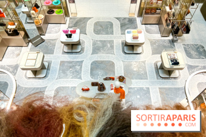 Paris à Poil(s) à la Samaritaine - image00002