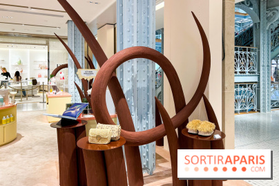 Paris à Poil(s) à la Samaritaine - image00009