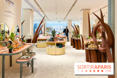 Paris à Poil(s) à la Samaritaine - image00010