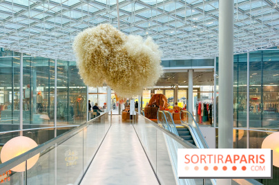 Paris à Poil(s) à la Samaritaine - image00011