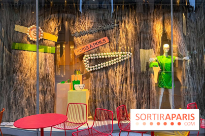 Paris à Poil(s) à la Samaritaine - image00004