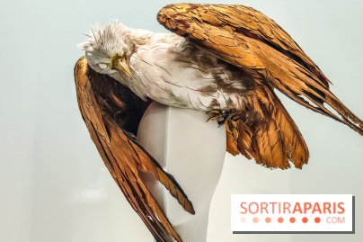 1997 Fashion Big Bang : l'exposition détonante du Palais Galliera - IMG20230303102448