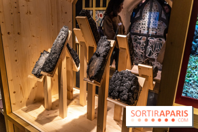 Exposition Notre-Dame de Paris : au cœur du chantier