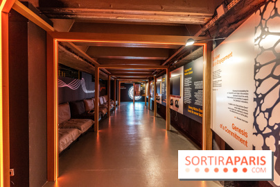 Exposition Notre-Dame de Paris : au cœur du chantier -  A7C4642