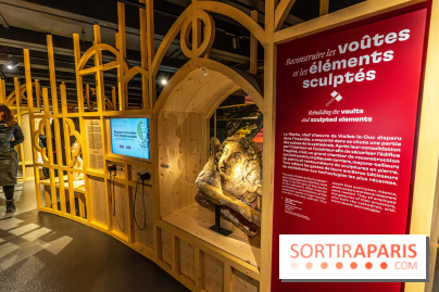 Exposition Notre-Dame de Paris : au cœur du chantier -  A7C4641