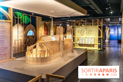Exposition Notre-Dame de Paris : au cœur du chantier -  A7C4630