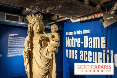 Exposition Notre-Dame de Paris : au cœur du chantier -  A7C4582