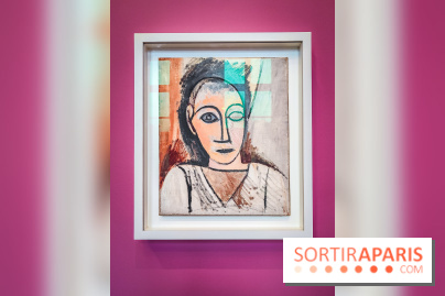 Célébration Picasso, l'exposition anniversaire colorée au musée Picasso Paris - nos photos