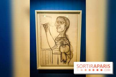 Célébration Picasso, l'exposition anniversaire colorée au musée Picasso Paris - nos photos - IMG20230306175411