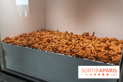 Exposition Philippe Cognée au Musée Bourdelle - La peinture d'après -  A7C5293