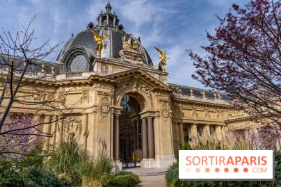 Petit Palais - Collection permanente  -  jardin