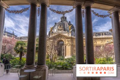 Petit Palais - Collection permanente  -  jardin - restaurant - terrasse