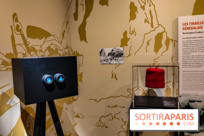 Exposition Les soldats du désert : le musée de la Libération dévoile l'épopée du général Leclerc