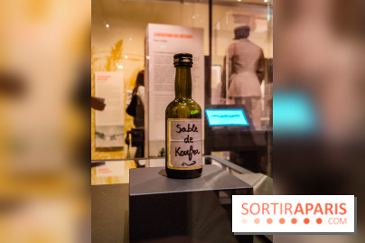 Exposition Les soldats du désert : le musée de la Libération dévoile l'épopée du général Leclerc - IMG20230315102330