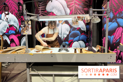 Saut Hermès - IMG 0893