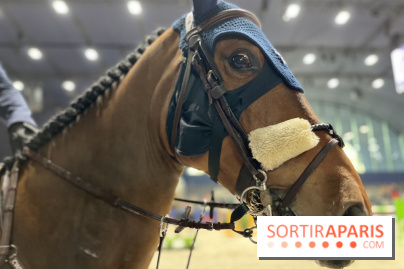 cheval - Saut Hermès