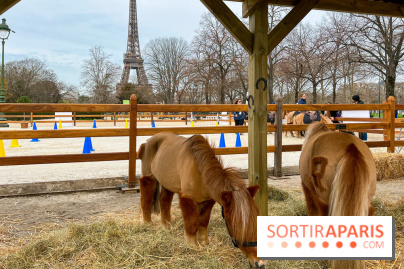 Saut Hermès - image00004