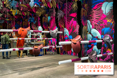 Saut Hermès - image00005