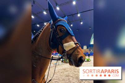 Saut Hermès