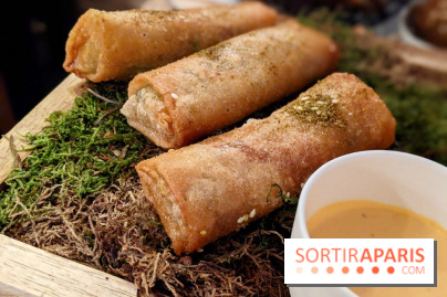 Qasti - Rouleaux halloumi