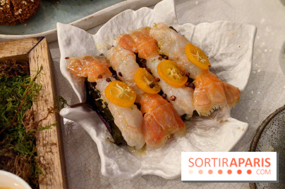 Qasti - Langoustines