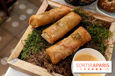 Qasti - Rouleaux halloumi