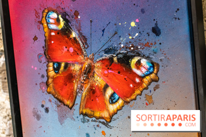 Exposition street-art Sax - Eglise de la Madeleine  -  A7C6523