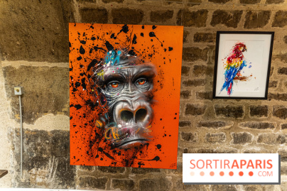 Exposition street-art Sax - Eglise de la Madeleine