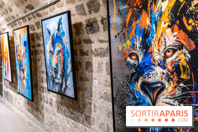 Exposition street-art Sax - Eglise de la Madeleine