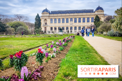 Félins, l'exposition qui nous fait craquer au Muséum national d'Histoire naturelle - photos - IMG20230321111256