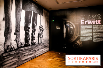 Elliott Erwitt, l'expo au Musée Maillol, nos photos - IMG 8912