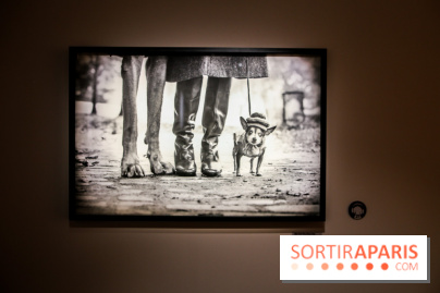 Elliott Erwitt, l'expo au Musée Maillol, nos photos