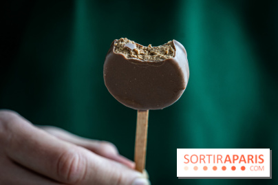 Les chocolats de Pâques des Belles Envies 2023 - IG bas