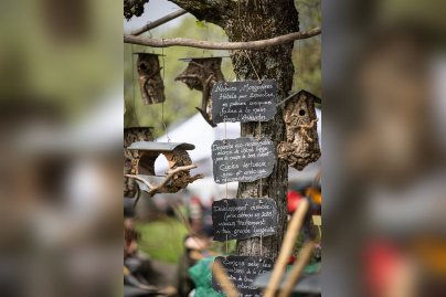 Les journées des plantes & Art  - 0S6A3584