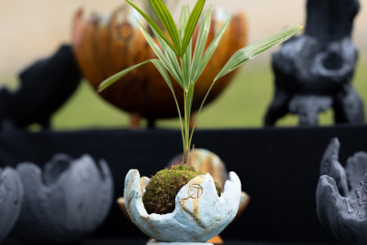 Les journées des plantes & Art  - 0S6A3911