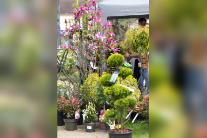 Les journées des plantes & Art  - 0S6A4145