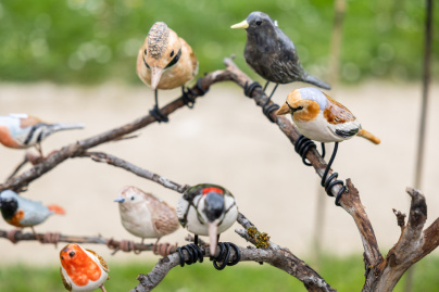 Les journées des plantes & Art  - 0S6A4346