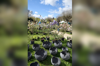 Les journées des plantes & Art  - 230401 Blandy PhotoCaroleDesheulles 192