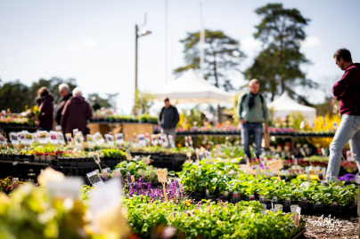 Les journées des plantes & Art  - journes des plantes  fontainebleau 2025 i samedi 29 mars 2025 54425853222 o