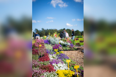Les journées des plantes & Art  - journes des plantes  fontainebleau 2025 i samedi 29 mars 2025 54426904414 o