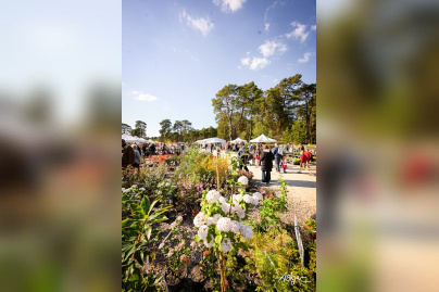 Les journées des plantes & Art  - journes des plantes  fontainebleau 2025 i samedi 29 mars 2025 54426954633 o