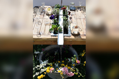 Les journées des plantes & Art du Jardin à Blandy-les-Tours - JourneePlantesBlandy 157©CDesheulles