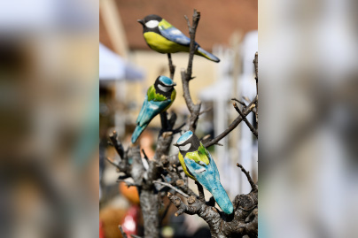 Les journées des plantes & Art du Jardin à Blandy-les-Tours - JourneePlantesBlandy 204©CDesheulles