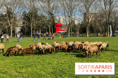 Transhumance à la Villette - 0A0601BF B46E 4CB3 8C5C 8FCED47E3559