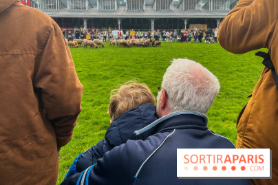 Transhumance à la Villette - C455CCC6 0ADA 4DBE 94CA DA1F5783DC69