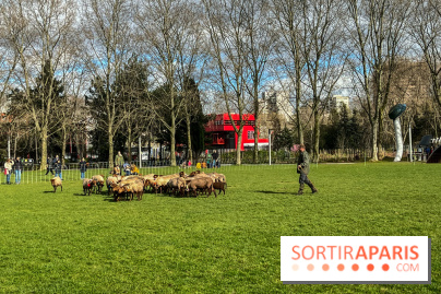 Transhumance à la Villette - 188F770F E171 4E30 91B1 9AEE8A13CE61