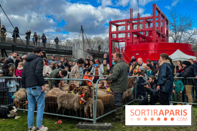 Transhumance à la Villette - 12DEEB42 3825 458D A5AC BC78843AA6F9